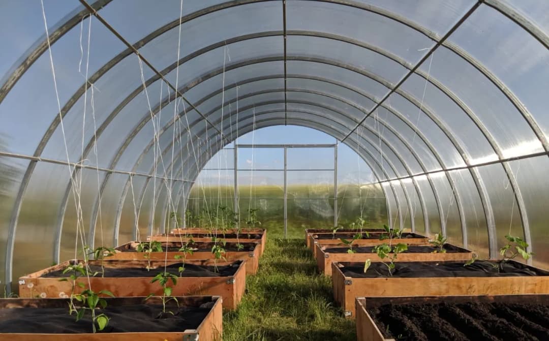 Jak montować poliwęglan lity - unikaj najczęstszych błędów w instalacji