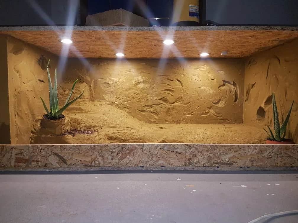 Jak zrobić terrarium z płyty OSB - prosty poradnik budowy krok po kroku