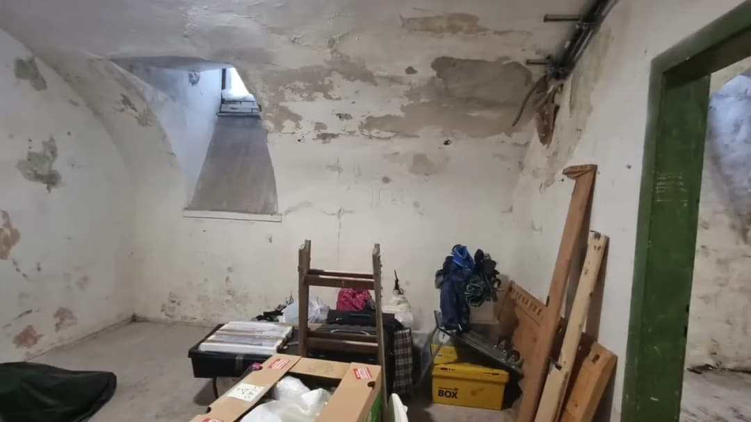 Jak osuszyć ściany w piwnicy i uniknąć kosztownych napraw