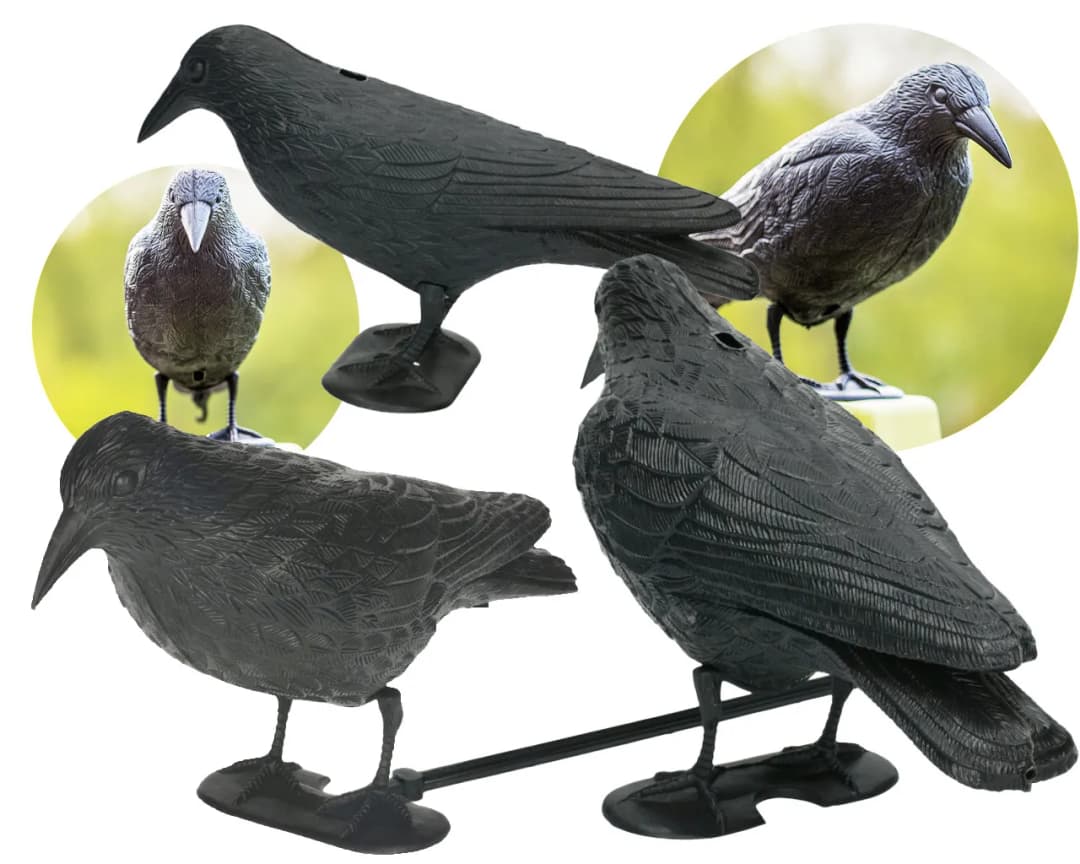 Jak zamontować kruka na balkonie - proste błędy, których unikniesz