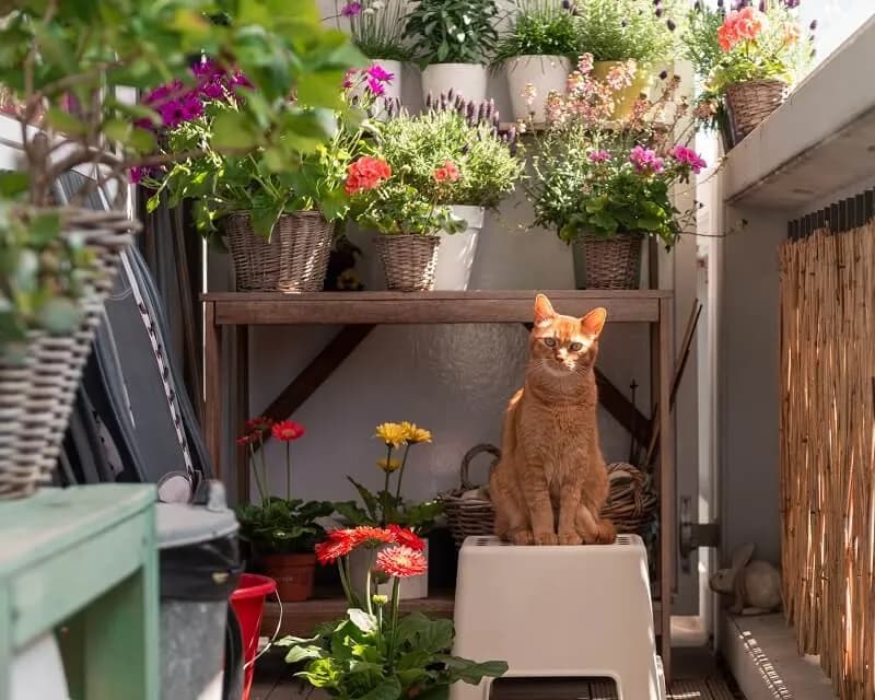 Jak ozdobić mały balkon? Praktyczne pomysły na efektowną aranżację